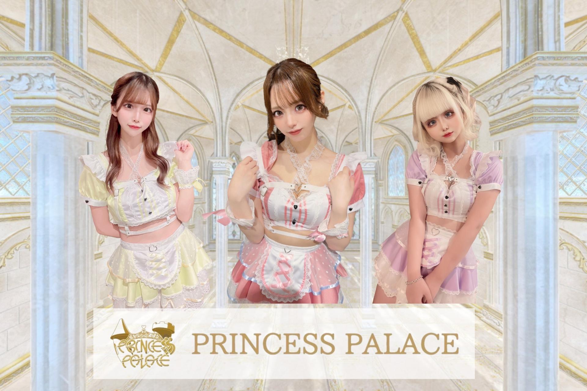 PRINCESS PALACE ( プリパレ )の店舗画像