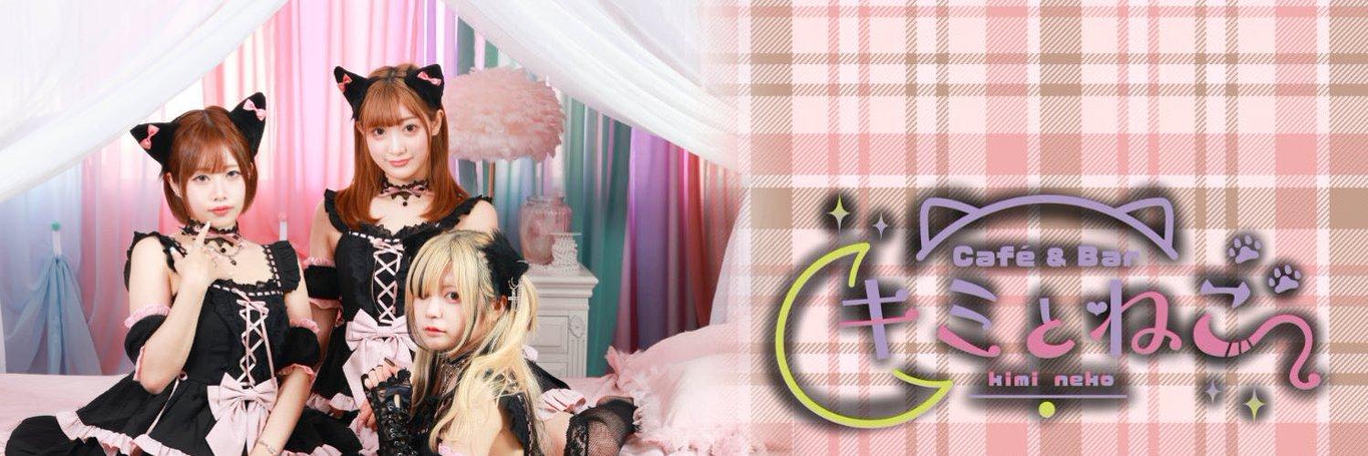 キミとねこの店舗画像