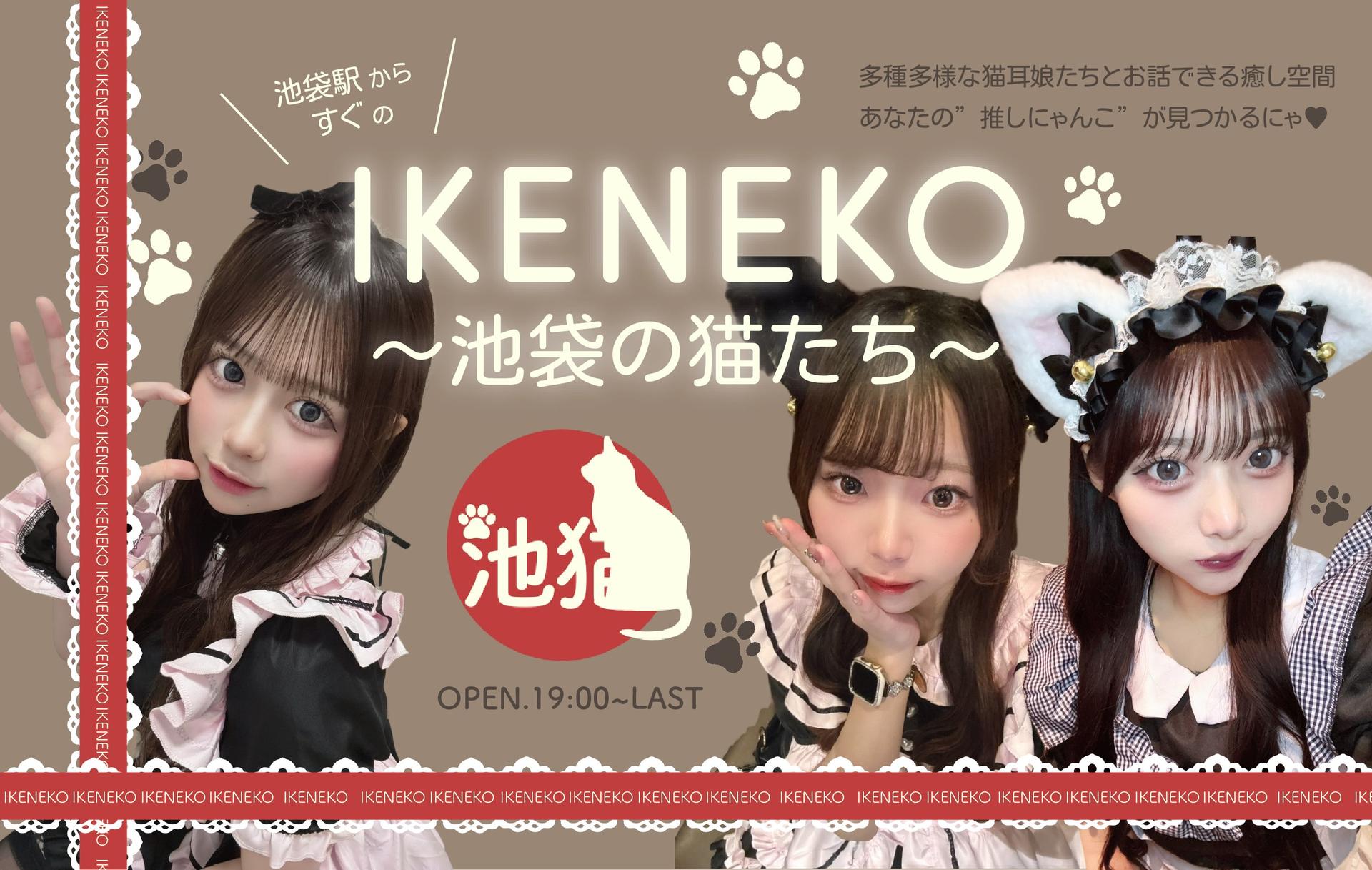  池猫 ~池袋の猫たち~ café&barの店舗画像 2