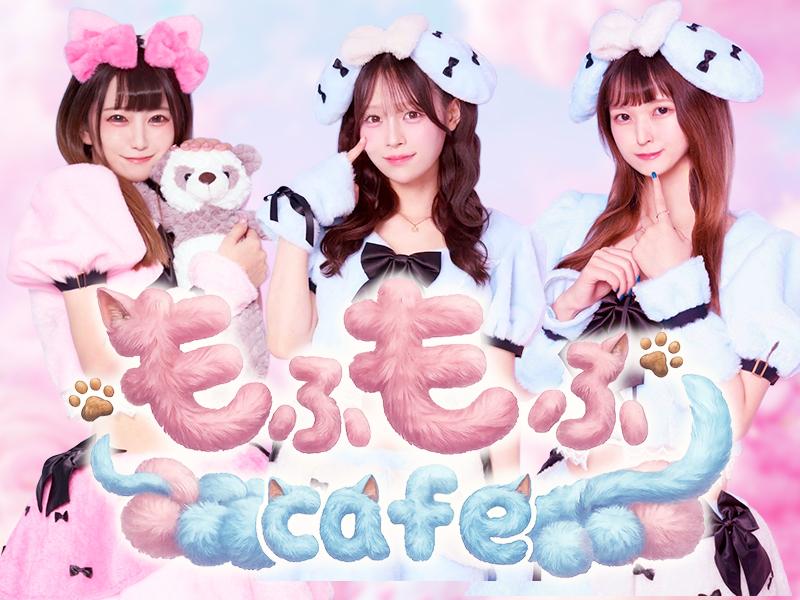 もふもふCafeの店舗画像 2