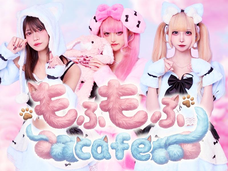 もふもふCafeの店舗画像 3