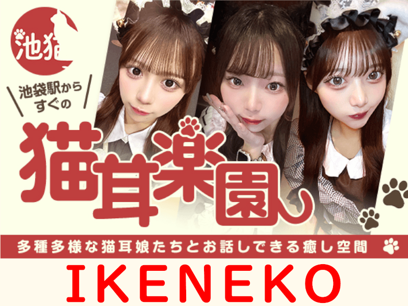  池猫 ~池袋の猫たち~ café&barの店舗画像