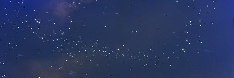 星明りの談話室-StarlitLounge-の店舗画像