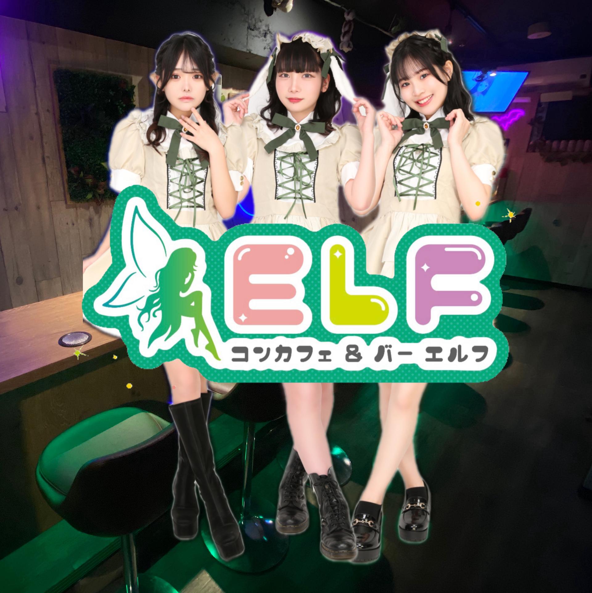 コンカフェ&バー ELF本店の店舗画像 1