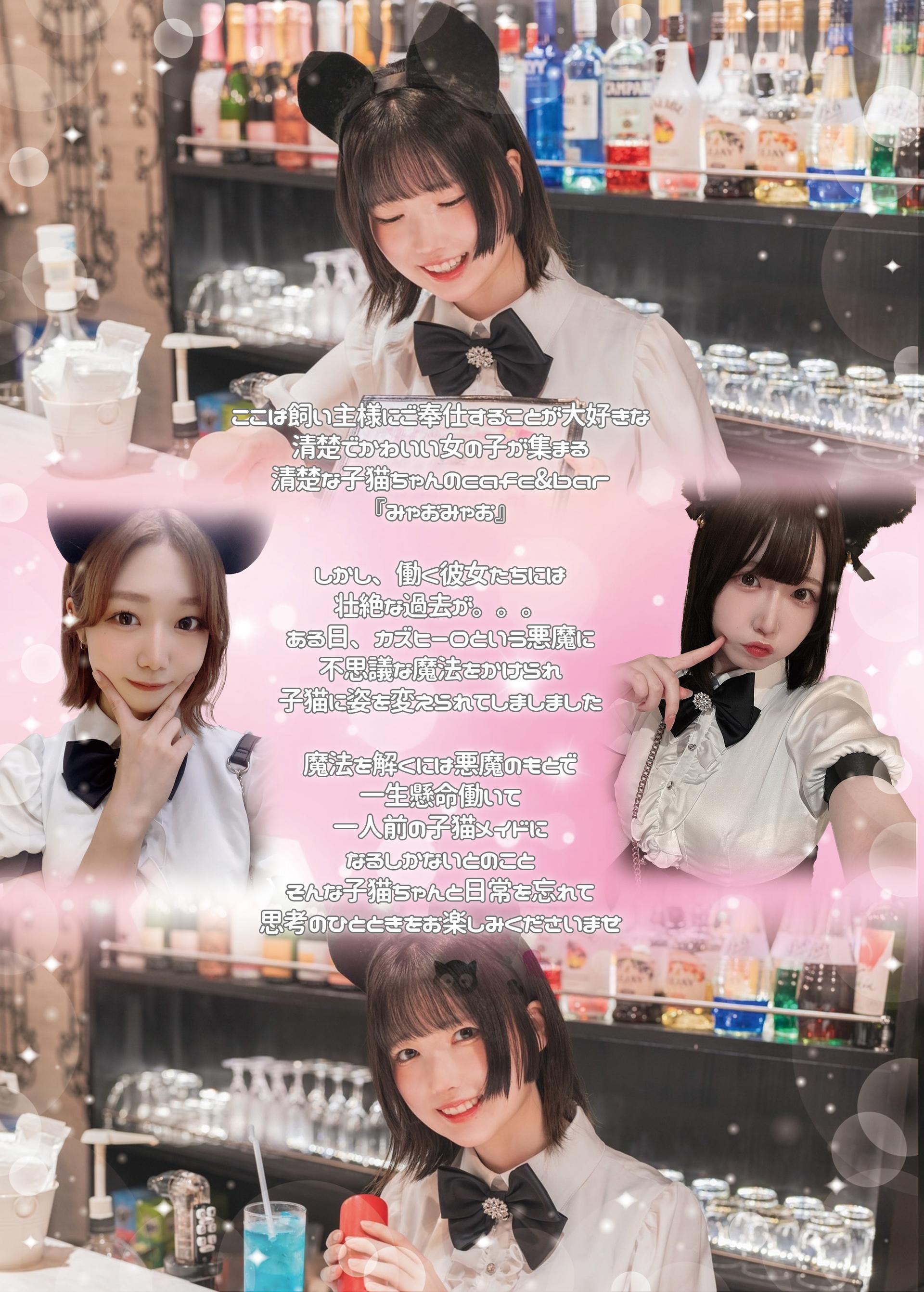 秋葉原コンカフェみゃおみゃおの店舗画像 3