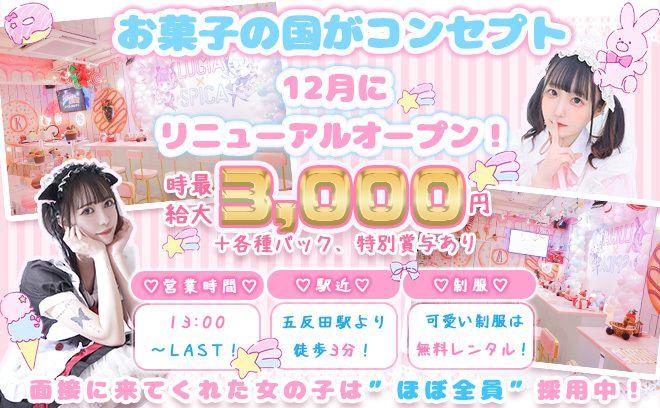 LUCIA×SPICA (るちあ✖️すぴか)の店舗画像 3